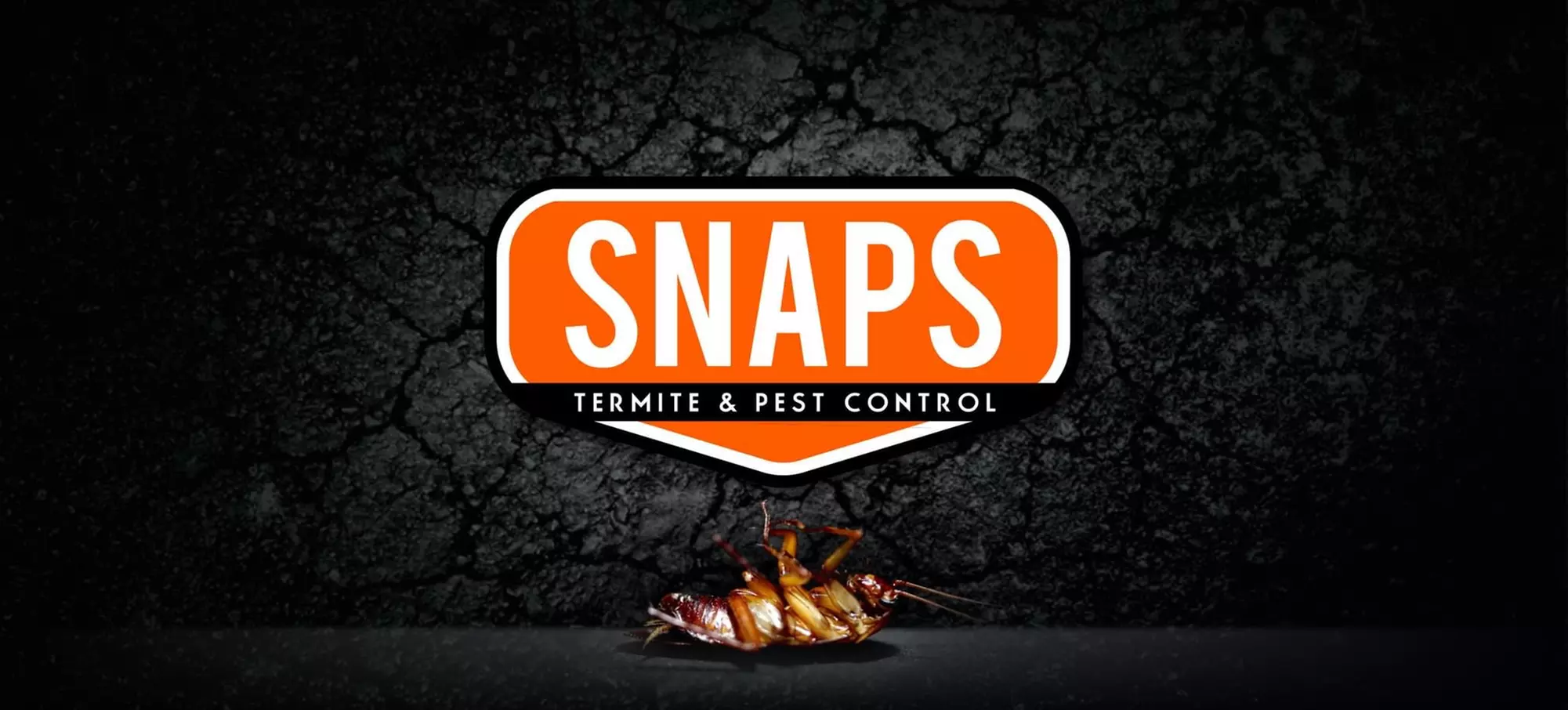 Up to 63% Off on Pest Control Service - Termite at Snaps Termite & Pest Control - Primary Image