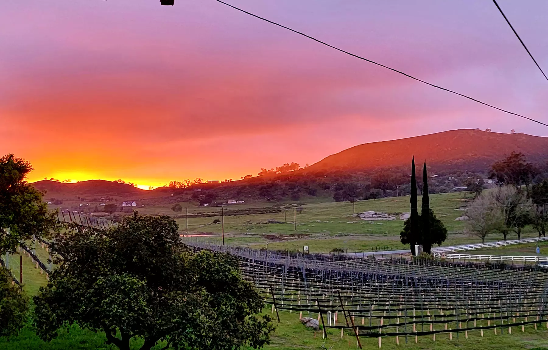Experience Unique Wine Tasting for Groups in Ballena Valley