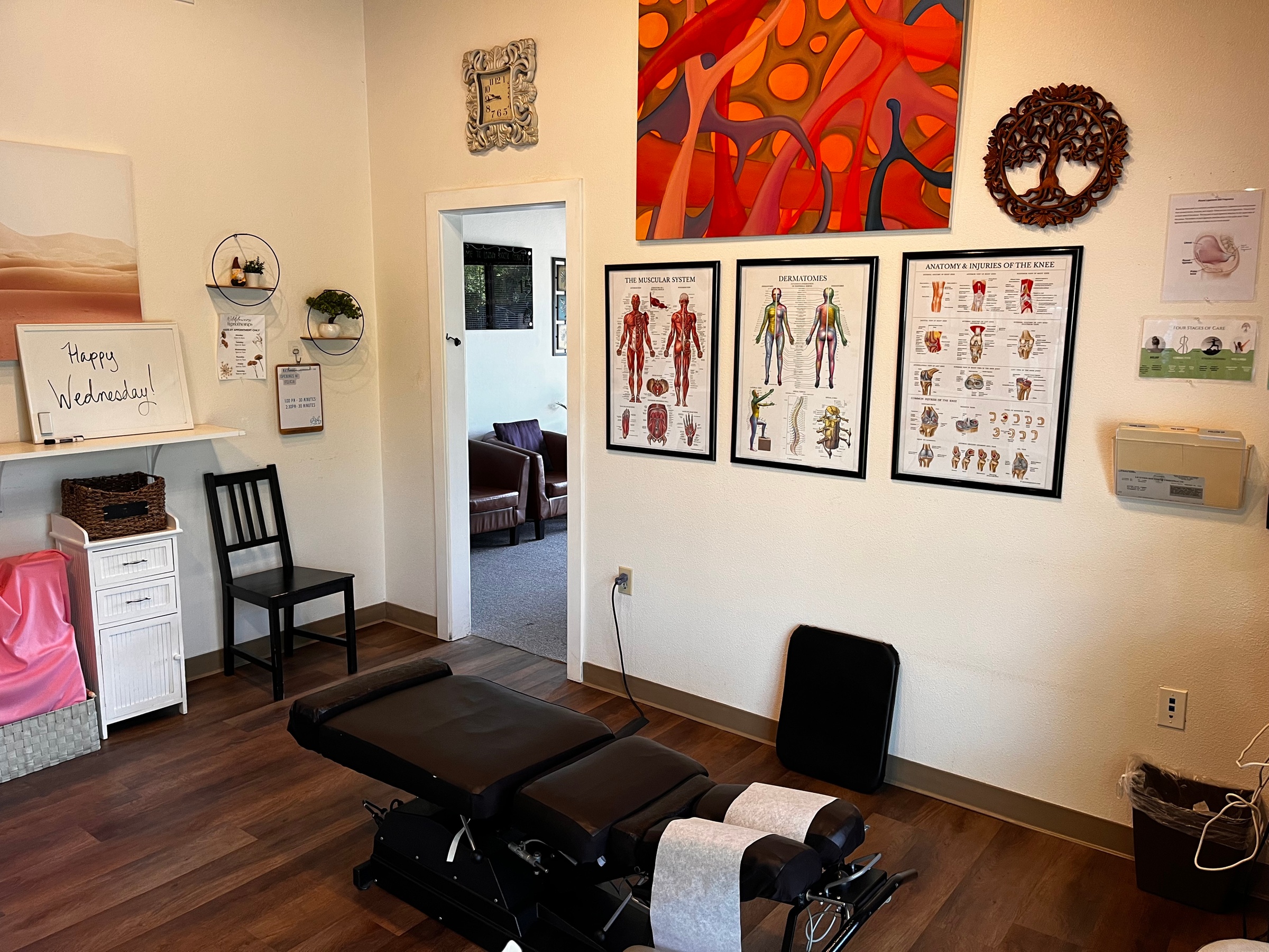Chiropractic / Osteopathy at Living Roots Chiropractic