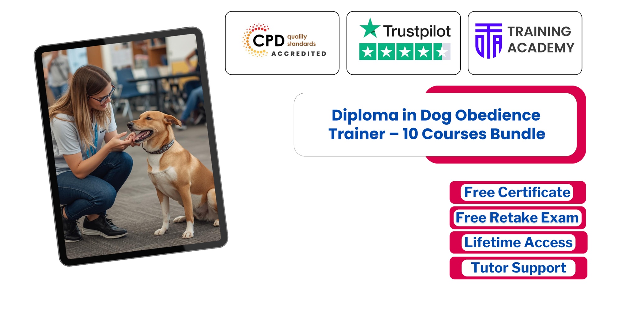 Get Dog Obedience Trainer Diploma – 10 Courses Bundle