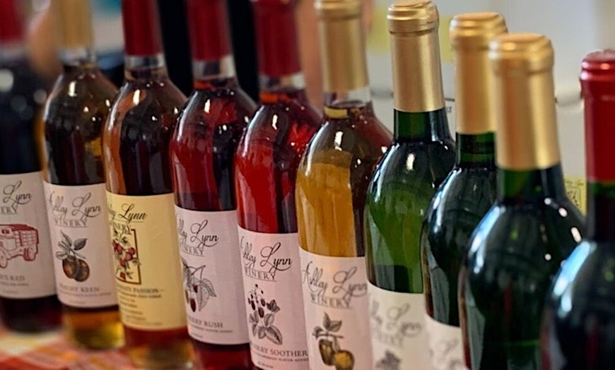 Image 2: Up to 45% Off Admission to Hudson Valley Wine & Food Festival 