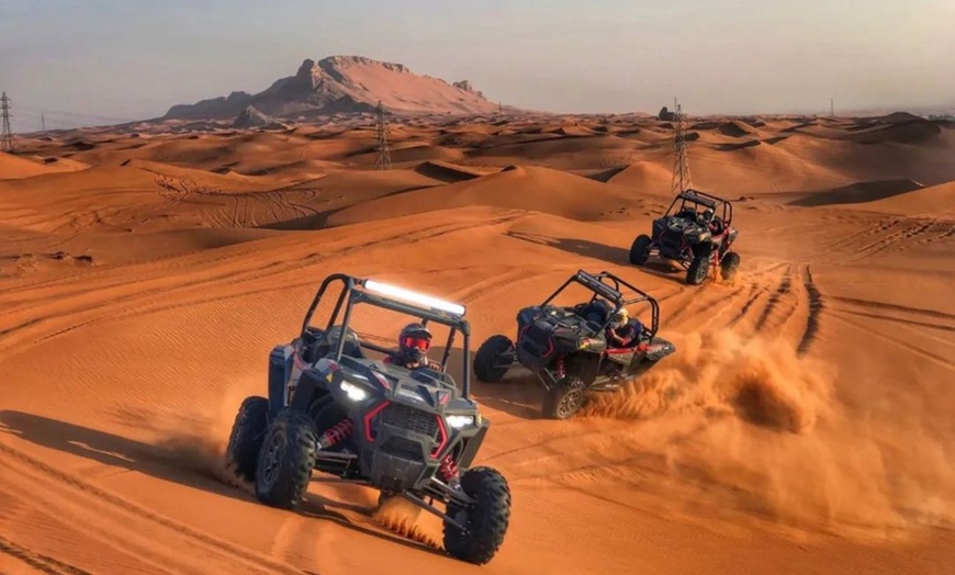 Image 3: VIP Desert Safari with Desert Falcon Tourism