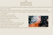 2 Hour- Crystal Bed W/ Sound Healing 1 HR. & 1 HR. Reiki Session, 1.5 HR Raindrop Detox, & More  (Up to 30% Off) - Second Medium