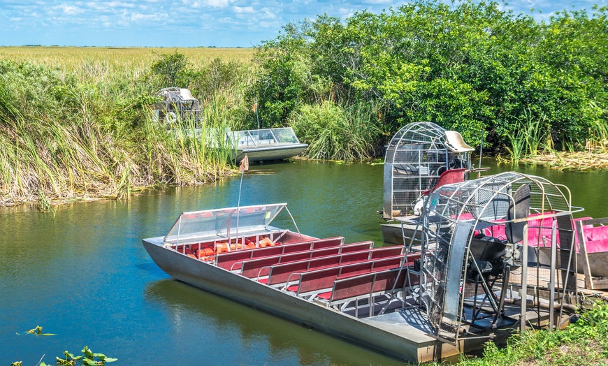 Image 3: Everglades Airboat Ride & Alligator Show with Miami Transportation