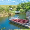 Image 3: Everglades Airboat Ride & Alligator Show with Miami Transportation
