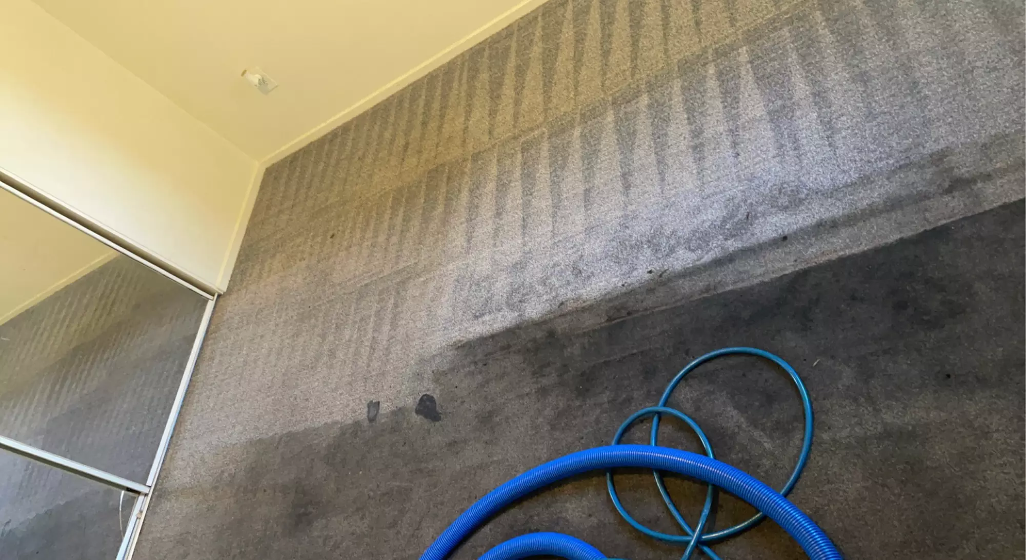 Eco Carpet Cleaning: Rugs and Rooms with Scotch Guard Protection