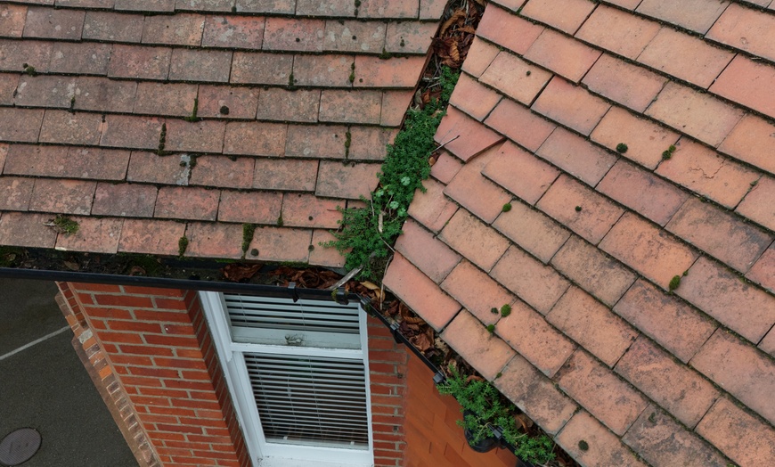 Image 4: Get Aerial Views of Roof or/and Gutter Inspection of Your Home