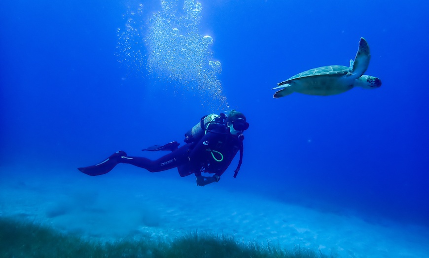 Image 4: Bautismo de buceo para 1 o 2 personas en Thalassa Buceo