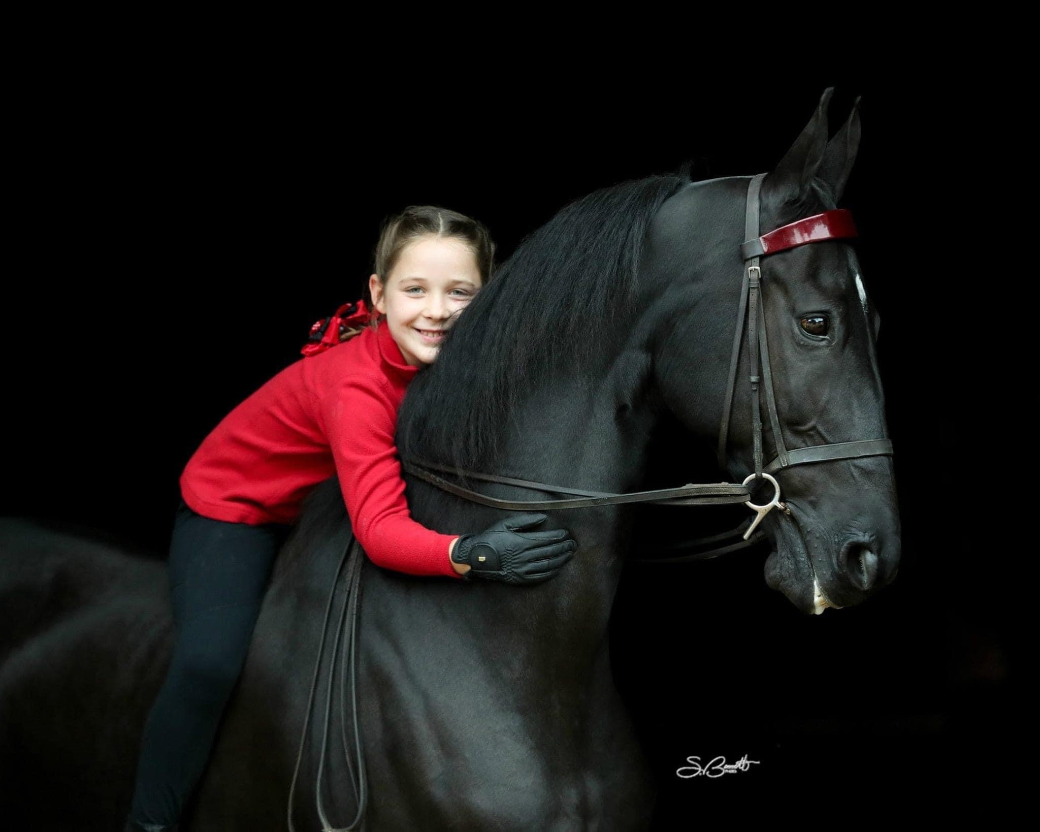 Horseback Riding Lessons to Learn and Enjoy