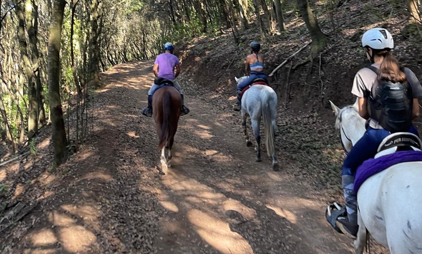 Image 1: Explora la naturaleza de Tenerife a caballo, sin experiencia previa