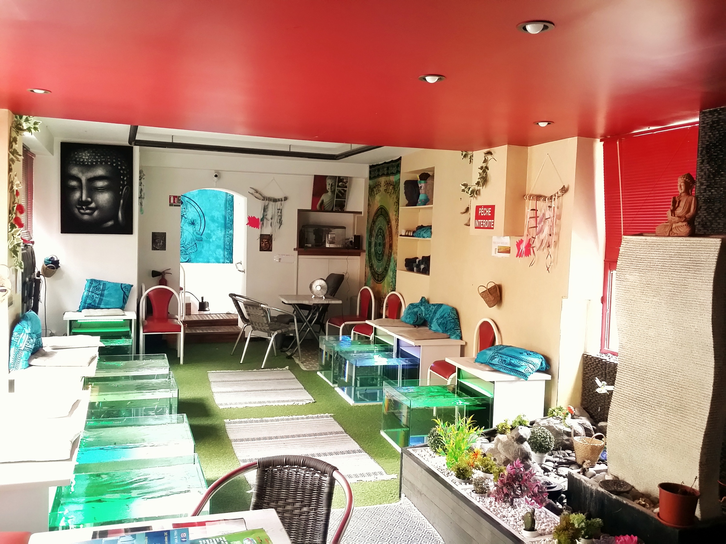 Jusqu'à 40% de remise sur Pédicure - Poissons chez FISH DELS PEUS - Poissons Pédicures