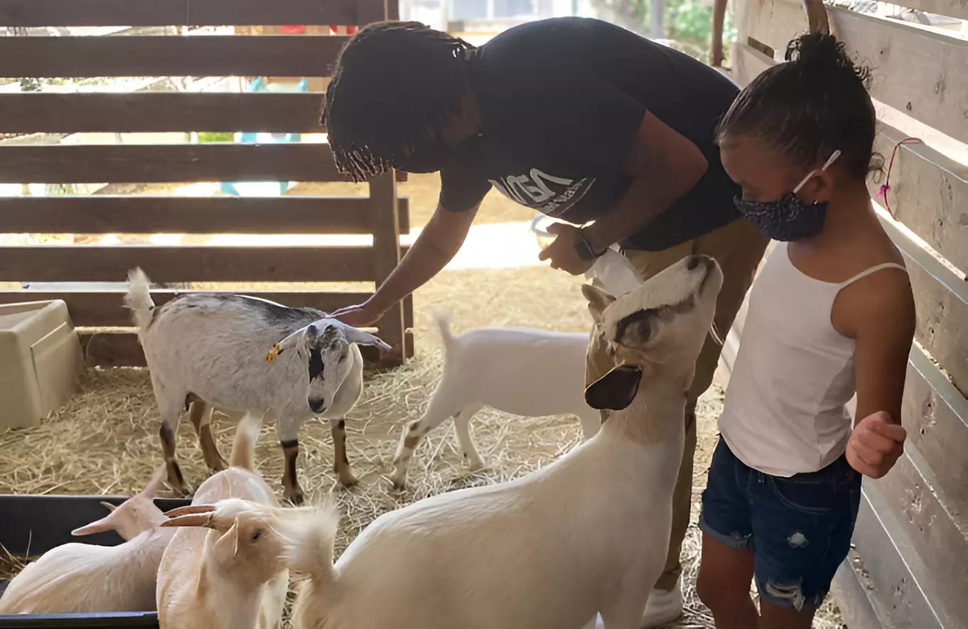 Petting Zoo & Pony Ride Adventure – Davie, FL