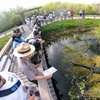 Image 3:  Explore the Everglades with a Guided Airboat Tour for One Person