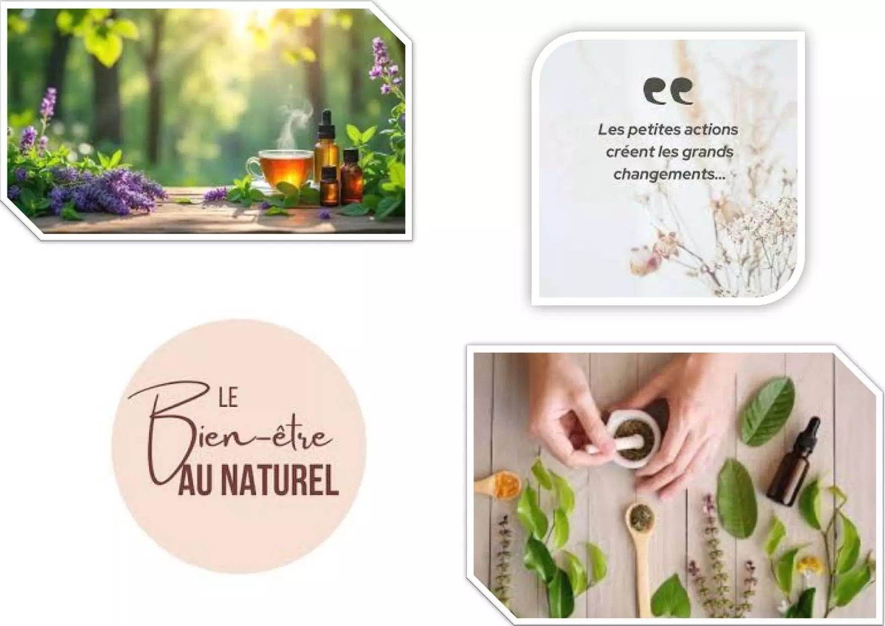 Trésors ruche découverte apithérapie soins maison