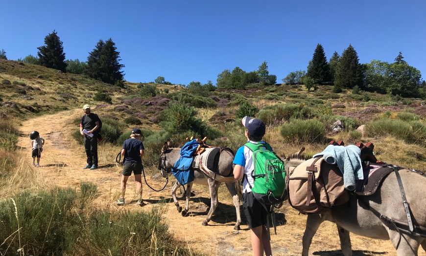 Image 5: Jusqu'à 40% de remise sur Équitation - Loisir chez Le Col De La Molède À Cheval