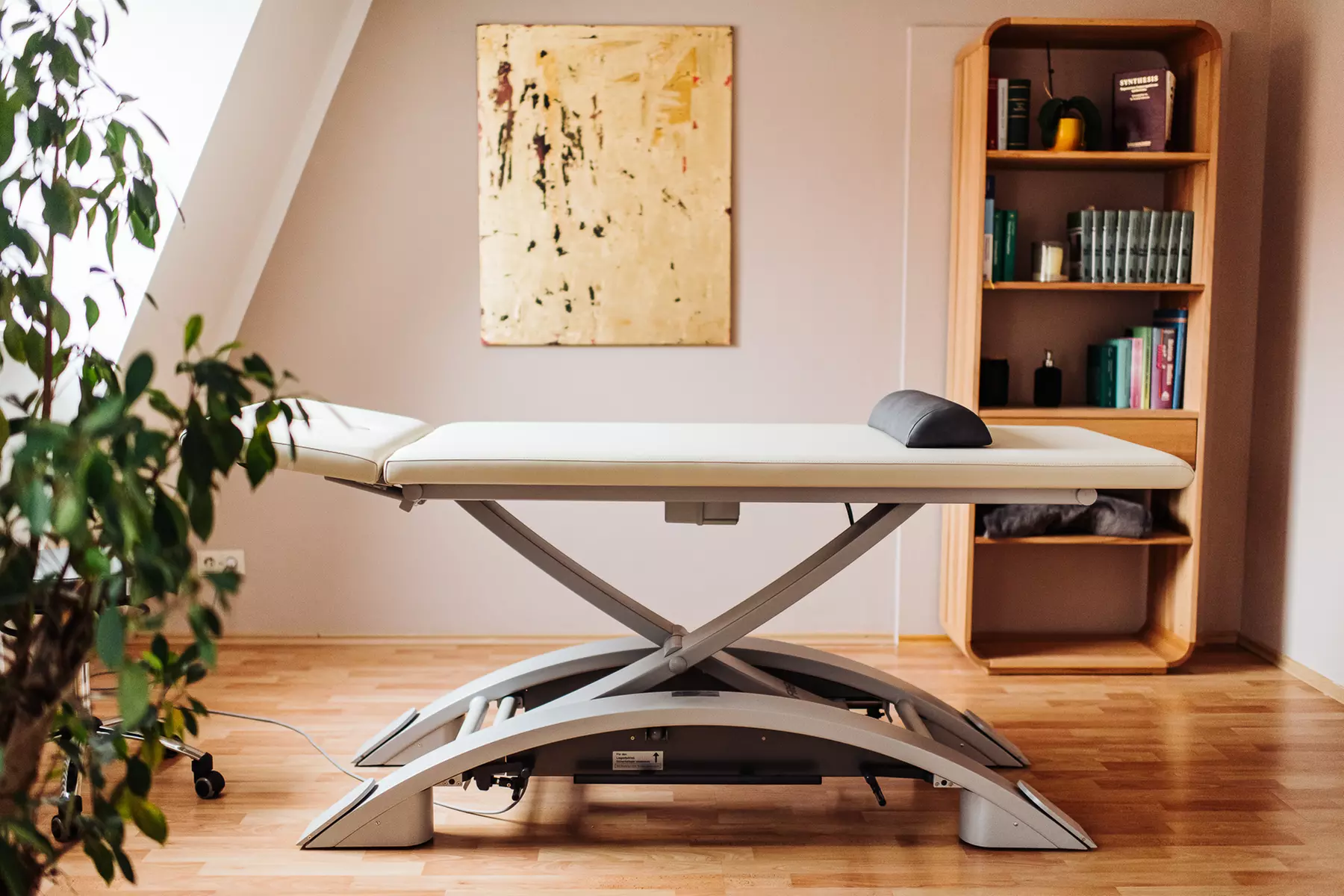 Bis zu 46% Rabatt auf den Chiropraktiker / Osteopathie - Massage & Untersuchung bei Triune Osteopathy