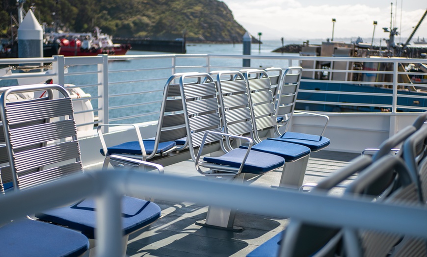 Image 3: Whale Watching Tour – Best Value in Anacortes, WA