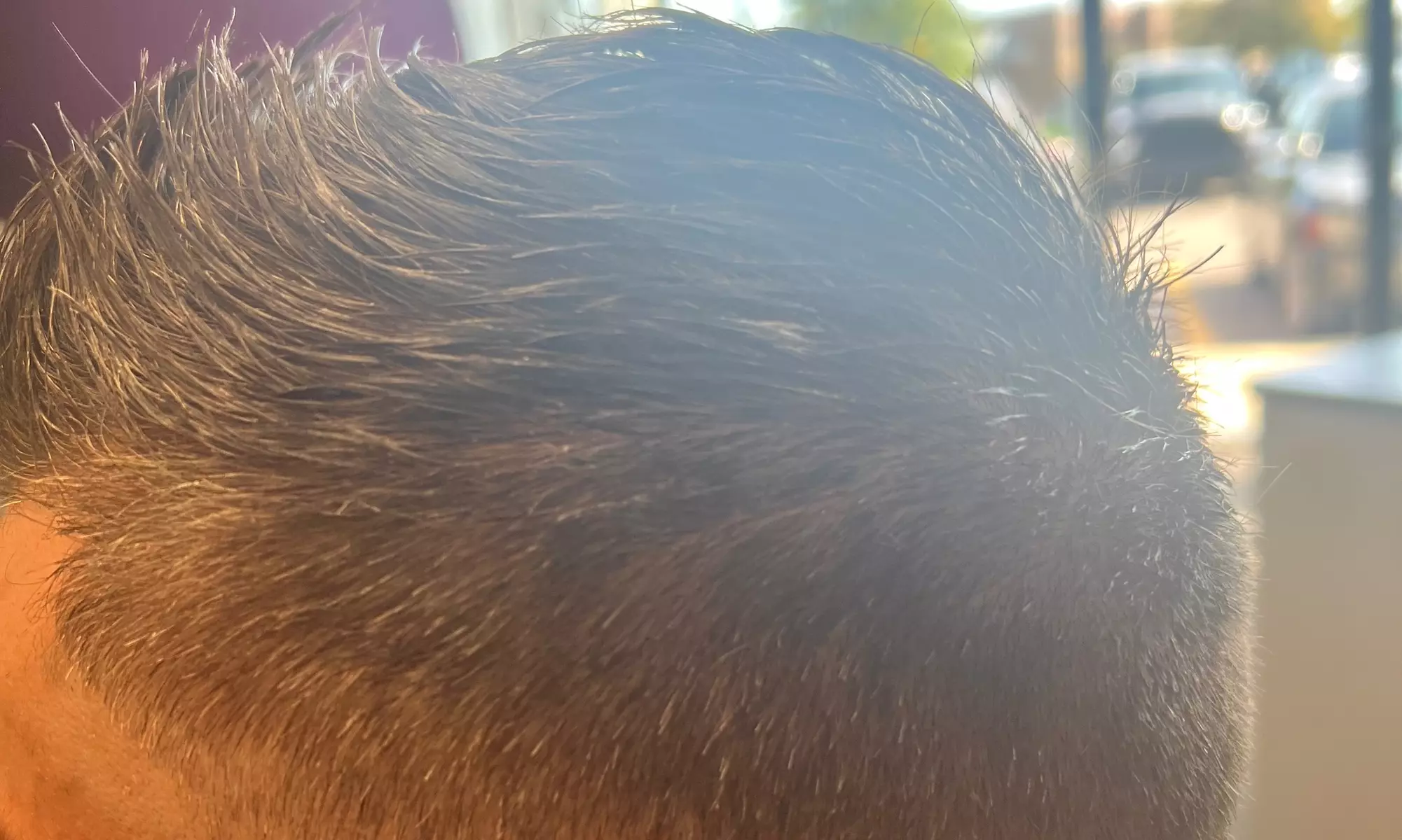 Explore Men's Haircut and Beard Trim at Milad Hair Beauty with up to 10% off. Discover Unique Women's Styling Options - Second Medium