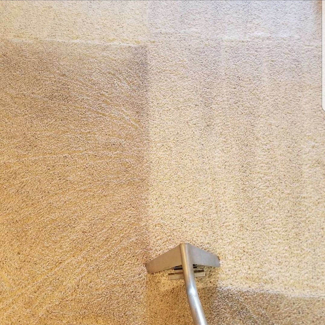 Up to 72% Off on Carpet Cleaning