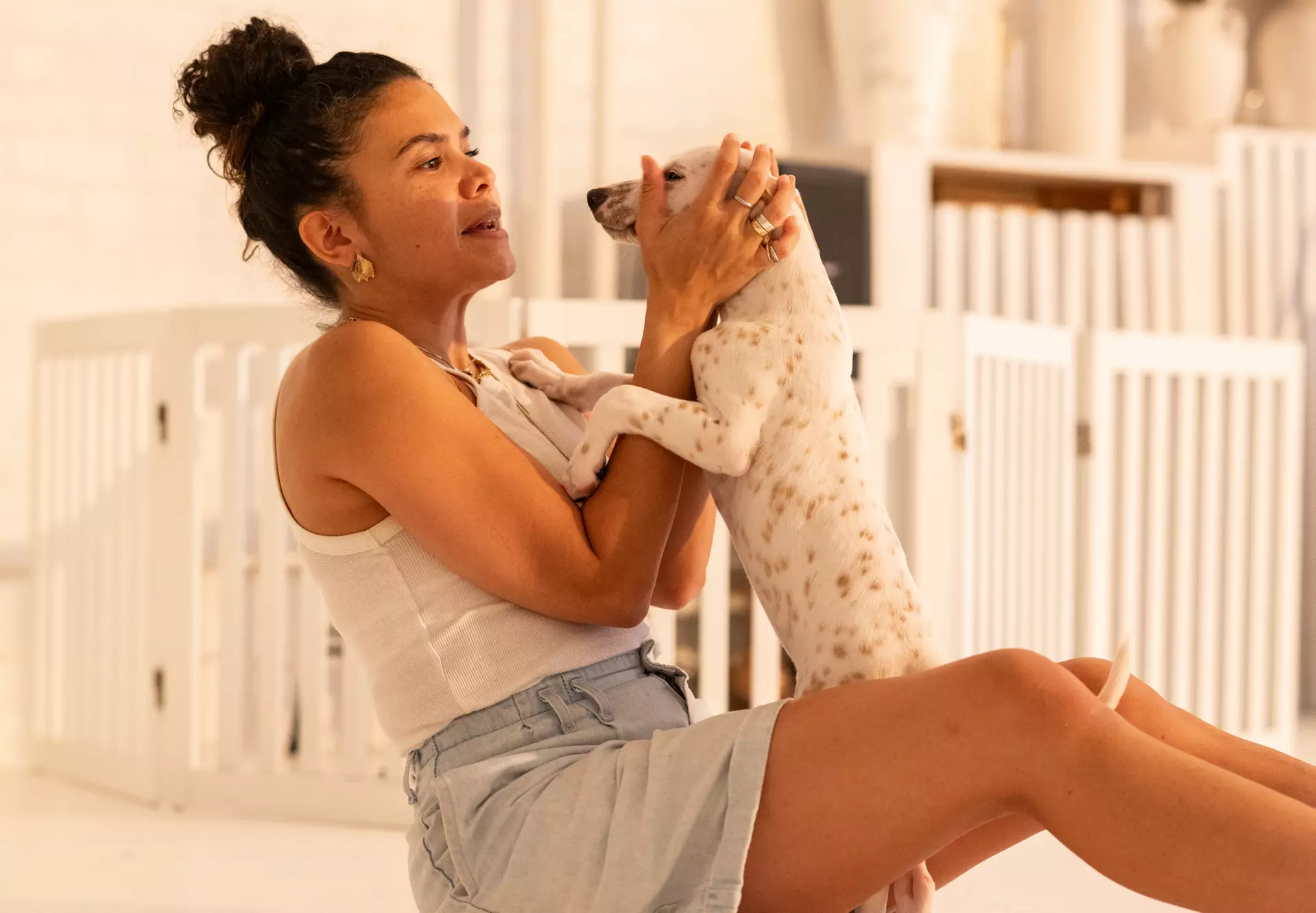 Enjoy Live Music With Puppies 
