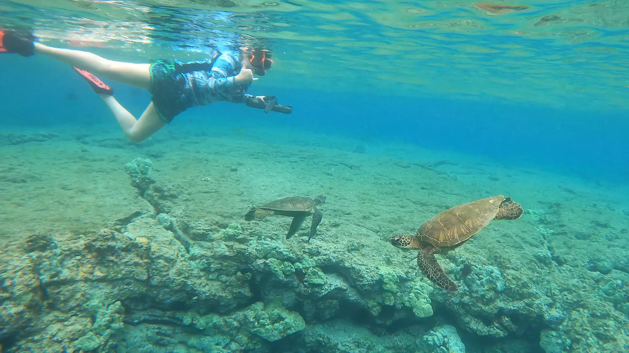 Up to 25% Off on Guided Tour at Ocean Thrills - Second Medium