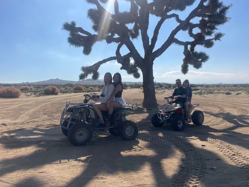 What to expect media