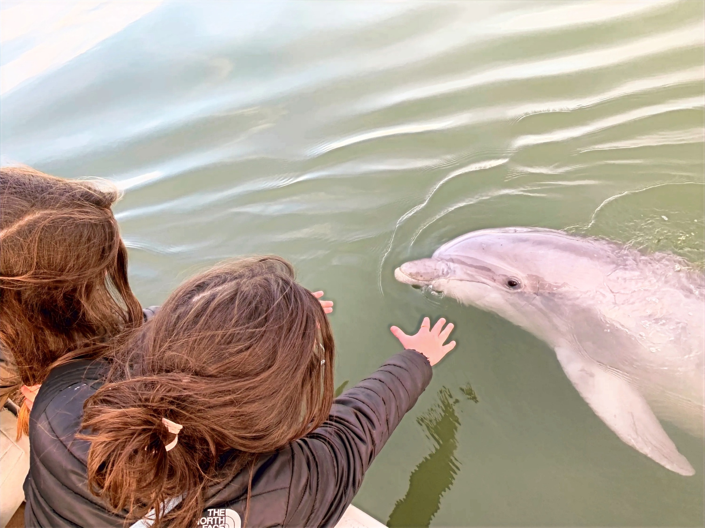 Explore Hilton Head Island's Ecosystem on a 1 Hour Eco Experience