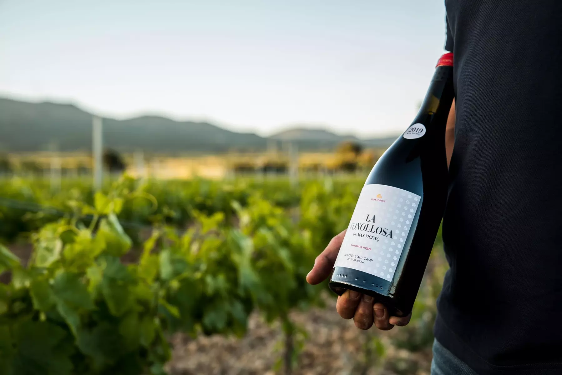 Until50%discount in Restaurant specialties - Wine tasting