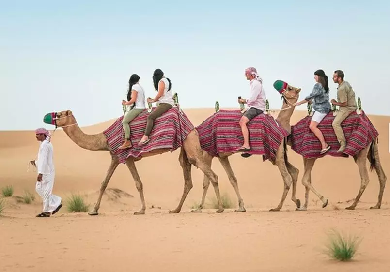 Self-Drive Desert Safari Package