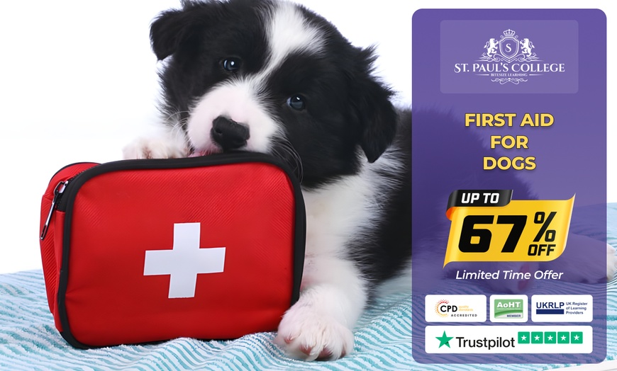 Image 5: Up to 77% Off on CPR & First Aid Certification at St Pauls College