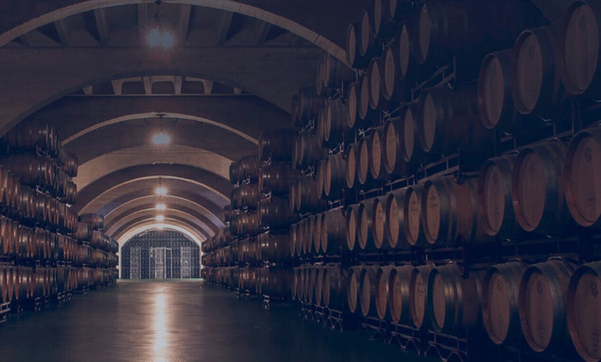 Image 1: Visita de la bodega con cata de 3 vinos y maridaje 