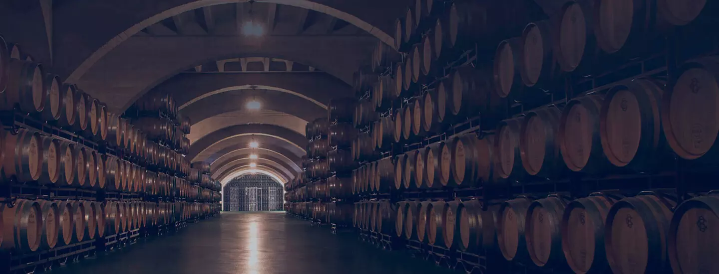 Visita de la bodega con cata de 3 vinos y maridaje