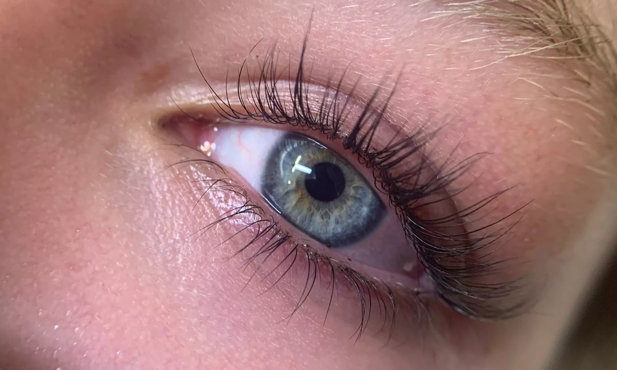 Up to 20% Off on Eyelash Perm at Nikki Dang - Lashes and Brows - Primary Image