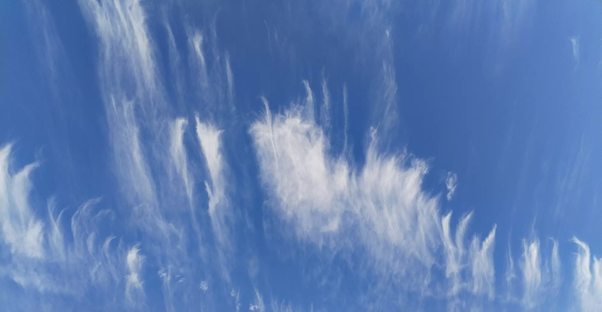 Séance de voyance de 15, 30, 45 ou 60 min par téléphone pour 1 personne avec Messages Ange (80% de réduction) - Primary Image