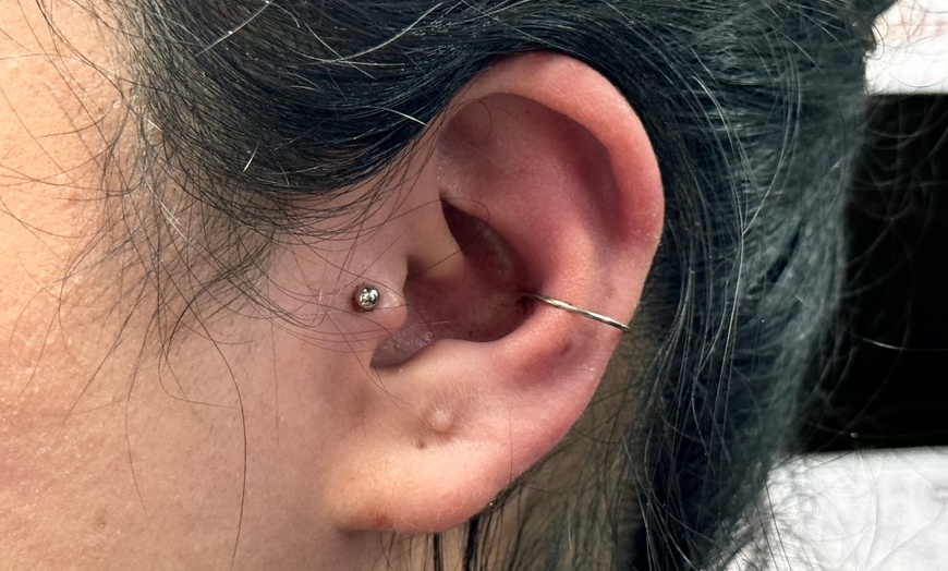 Image 5: Ear Piercing, Body Piercings, Dermal or Snake Bites or Tongue Piercing