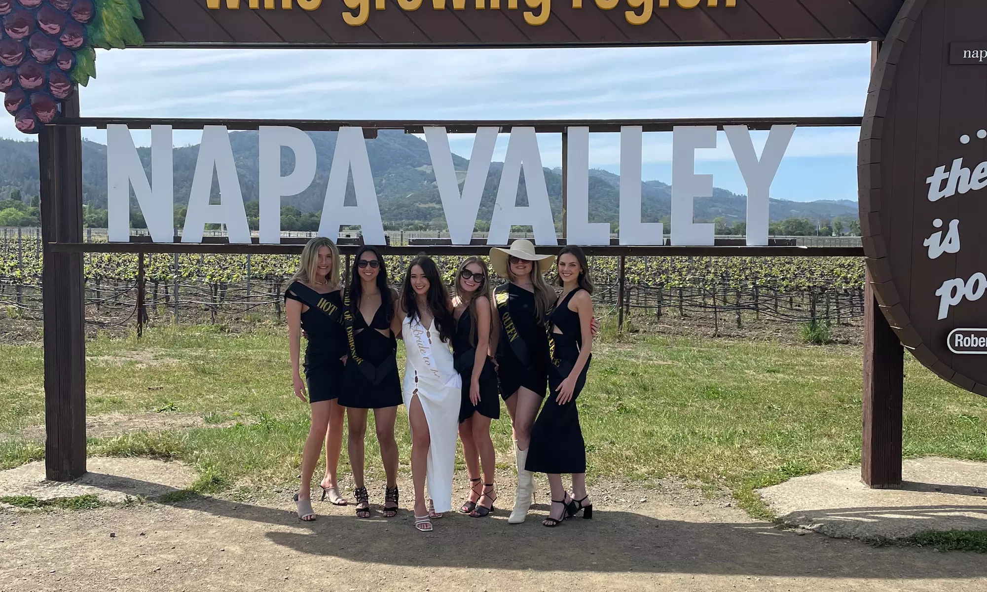 6 or 8-Hour Private Wine Tour of Napa or Sonoma for Up to Six at Phenomenal Limos and Wine Tours (Up to 28% Off) - Primary Image