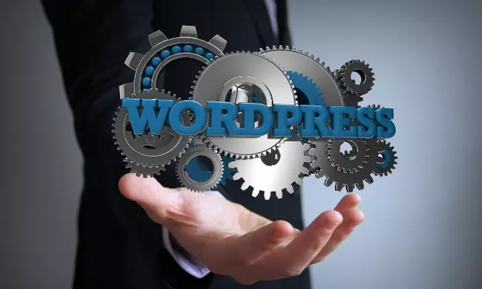 Learn to Build Websites from Scratch with Expert-Led Online Courses