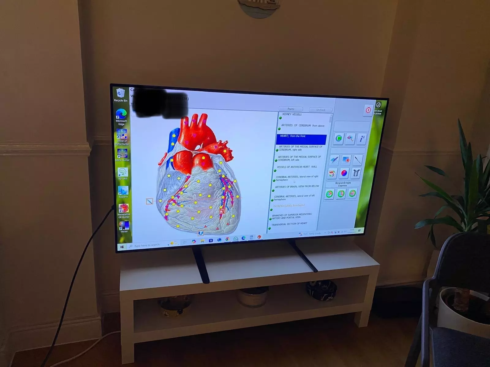 Up to 60% Off on Body Scanning at Helixa Therapies Ltd