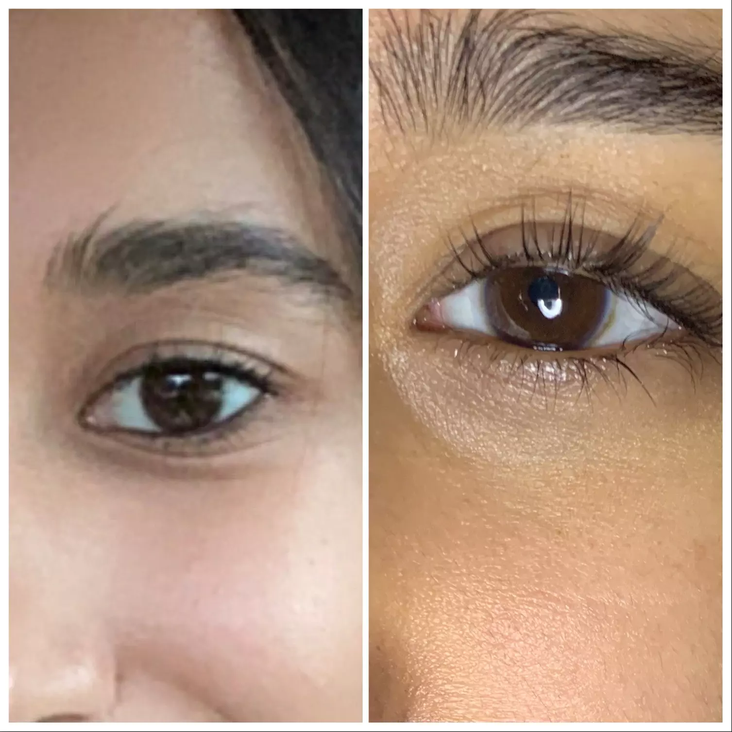 Up to 46% Off on Eyelash Tinting at Lash Brow Lash - Primary Image