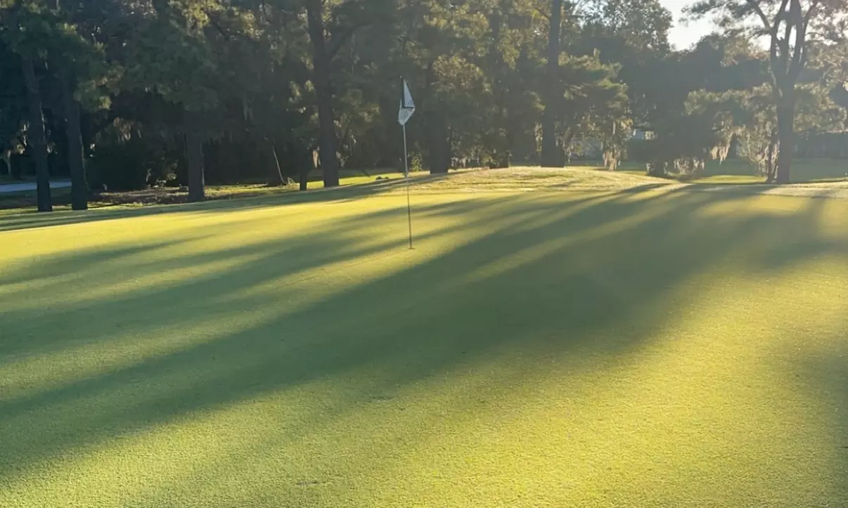 Golf at Wedgefield Country Club (Up to 35% Off) - Primary Image