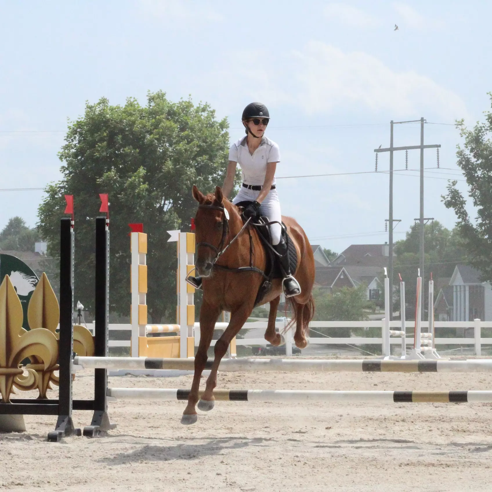 Experience the Thrill at L3 Sporthorses with Birthday Ride or Intro Lesson Package, up to 46% off - Second Medium