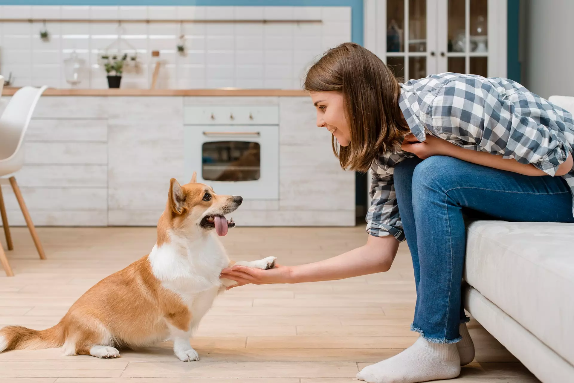 Up to 62% Off on Academic Tutor at The Animal Care - Primary Image