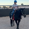 Image 2: Up to 20% Off on Horse Back Riding - Training at Elkhorn Ranch llc