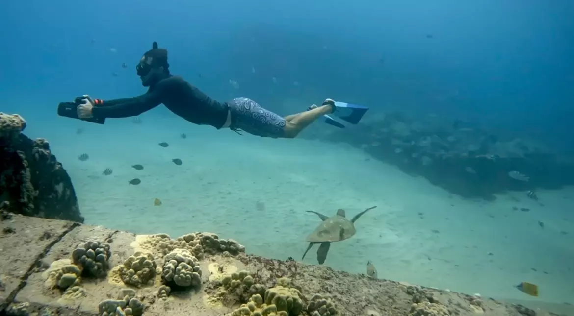 Experience jet snorkeling with turtles at Island Cruzin Hawaii, perfect for beginners in small groups up to 40% off - Primary Image