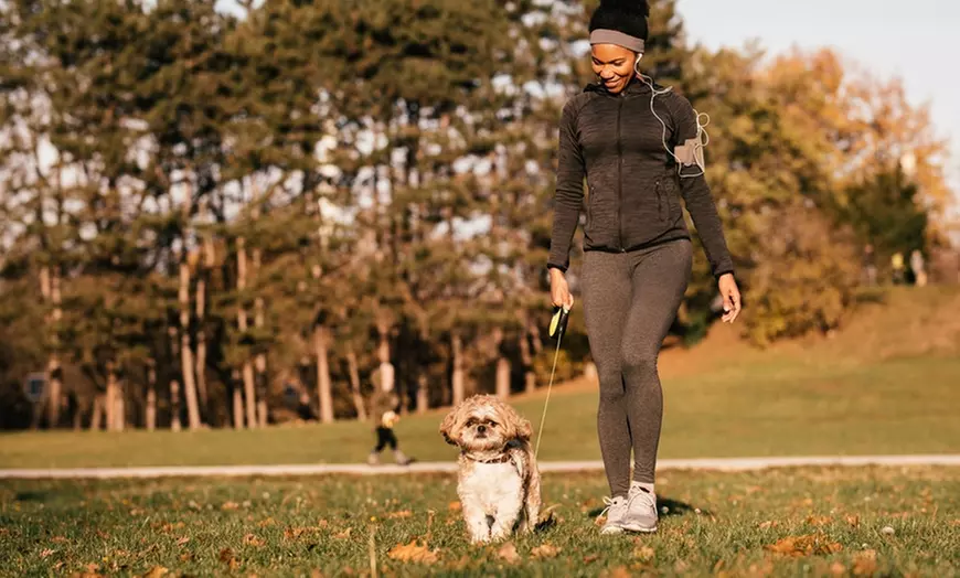 Up to 10% Off on Pet Sitter / Dog Walker at Yams Dog Walking - Primary Image