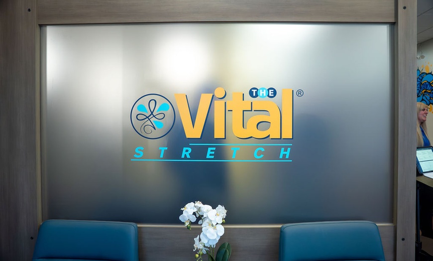 Image 8: Up to 69% Off on Fitness Studio at The Vital Stretch
