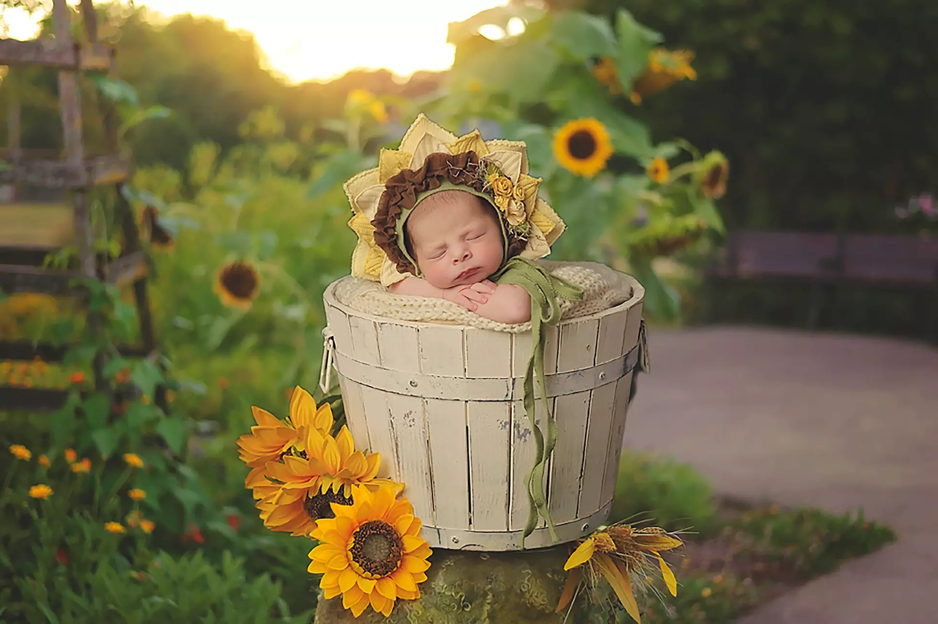 Up to 60% Off on Lifecycle Series Photography at Maria Sheehan Photography - Primary Image