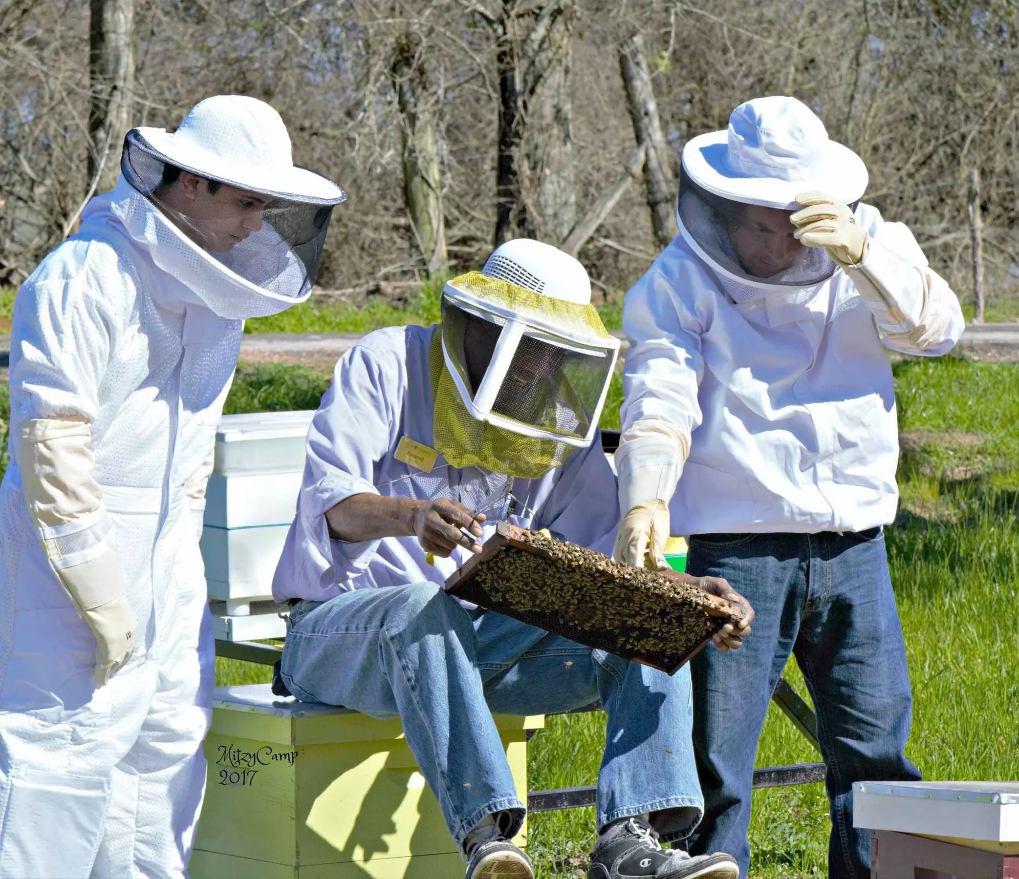 Up to 42% Off on Garden / Farm / Beekeeping Class at BeeWeaver Apiaries - Primary Image
