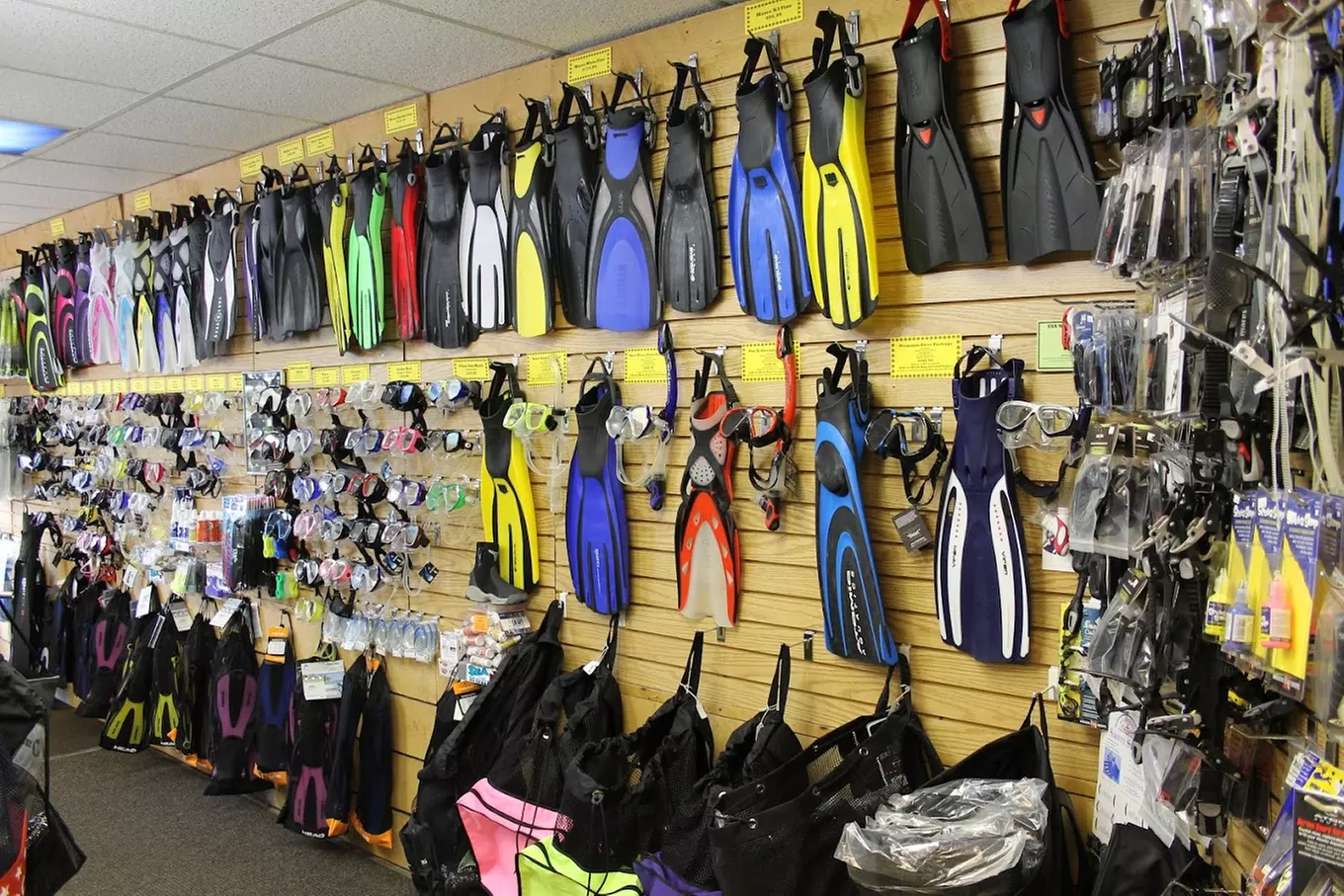 Up to 58% Off on SCUBA at Sea The World