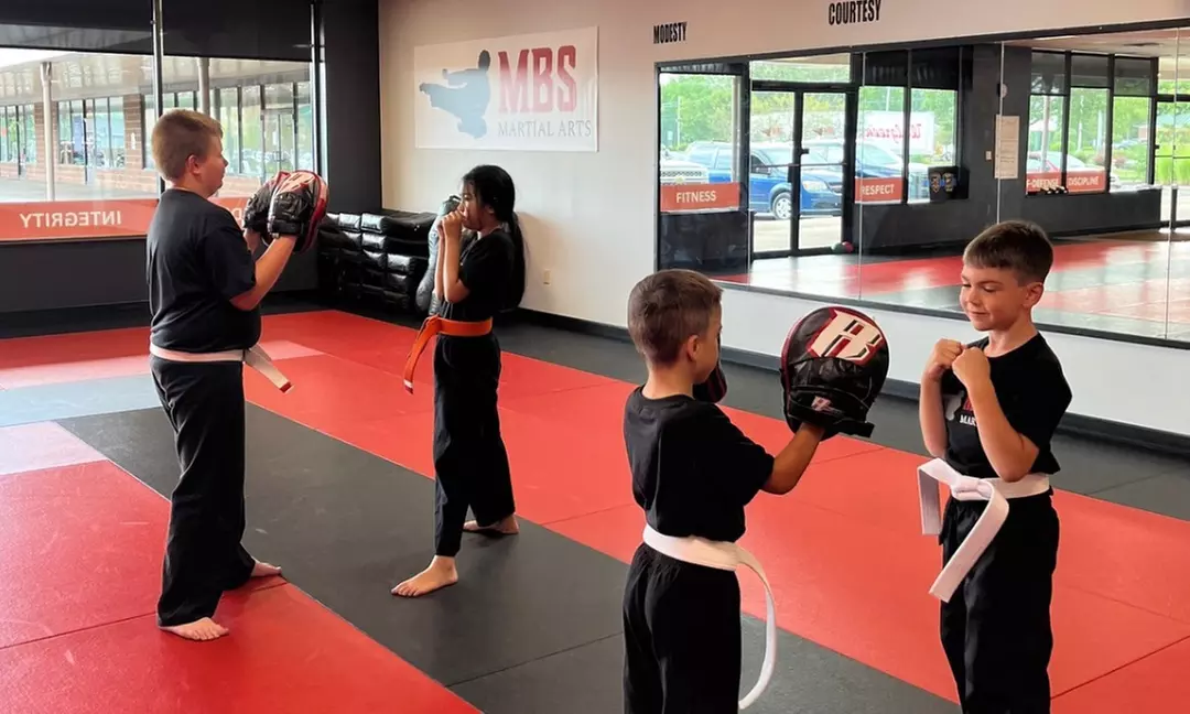 Up to 55% Off on Martial Arts / Karate / MMA at MBS Martial Arts